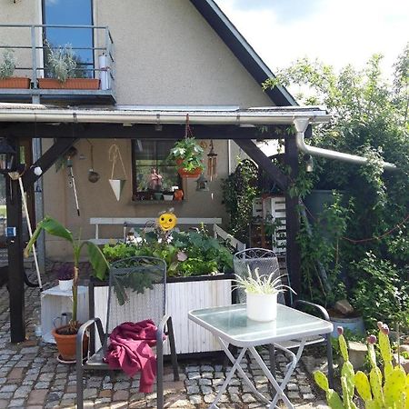 Ferienwohnung Auf Dem Land Rochlitz 外观 照片