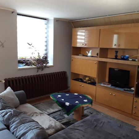 Ferienwohnung Auf Dem Land Rochlitz 外观 照片