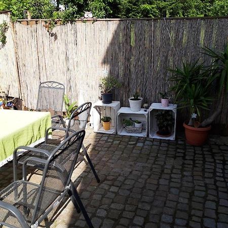 Ferienwohnung Auf Dem Land Rochlitz 外观 照片