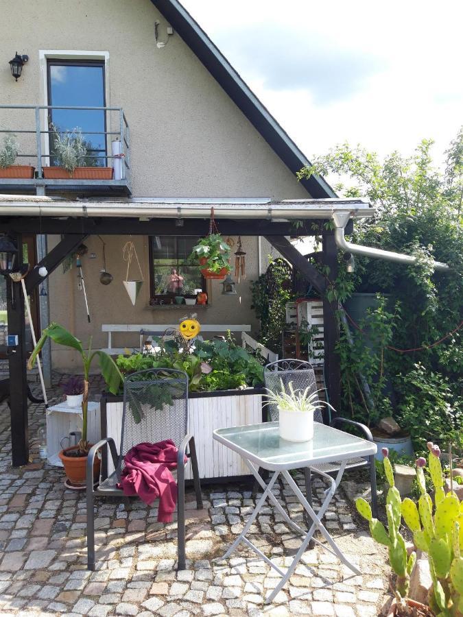 Ferienwohnung Auf Dem Land Rochlitz 外观 照片