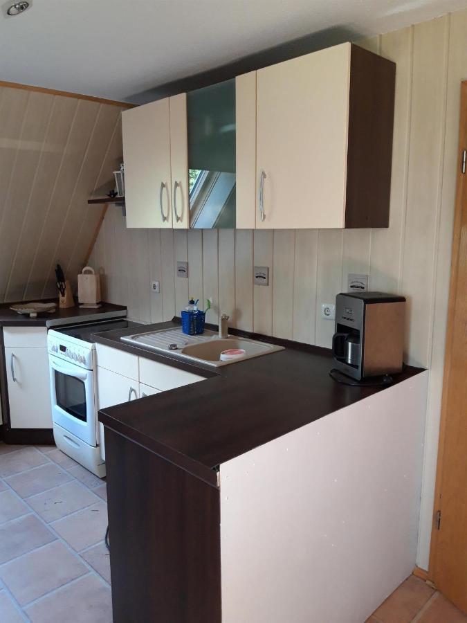 Ferienwohnung Auf Dem Land Rochlitz 外观 照片