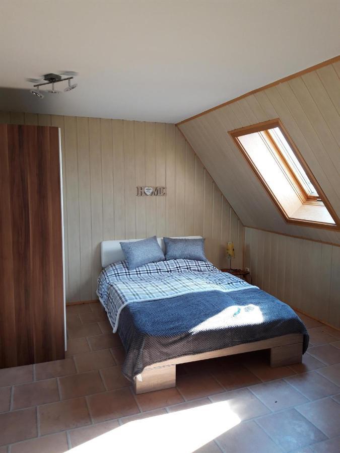 Ferienwohnung Auf Dem Land Rochlitz 外观 照片